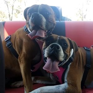 Meet your Posher, Ash